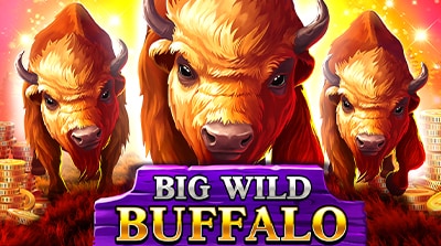 Big Wild Buffalo